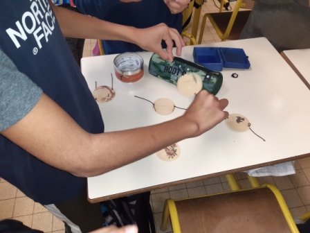 20191015_112147.jpg Thumbnail