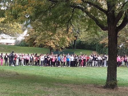 20191018_105059.jpg Thumbnail