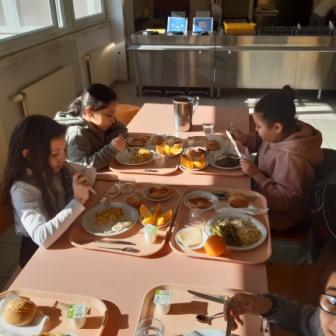 20200131_120316.jpg Thumbnail